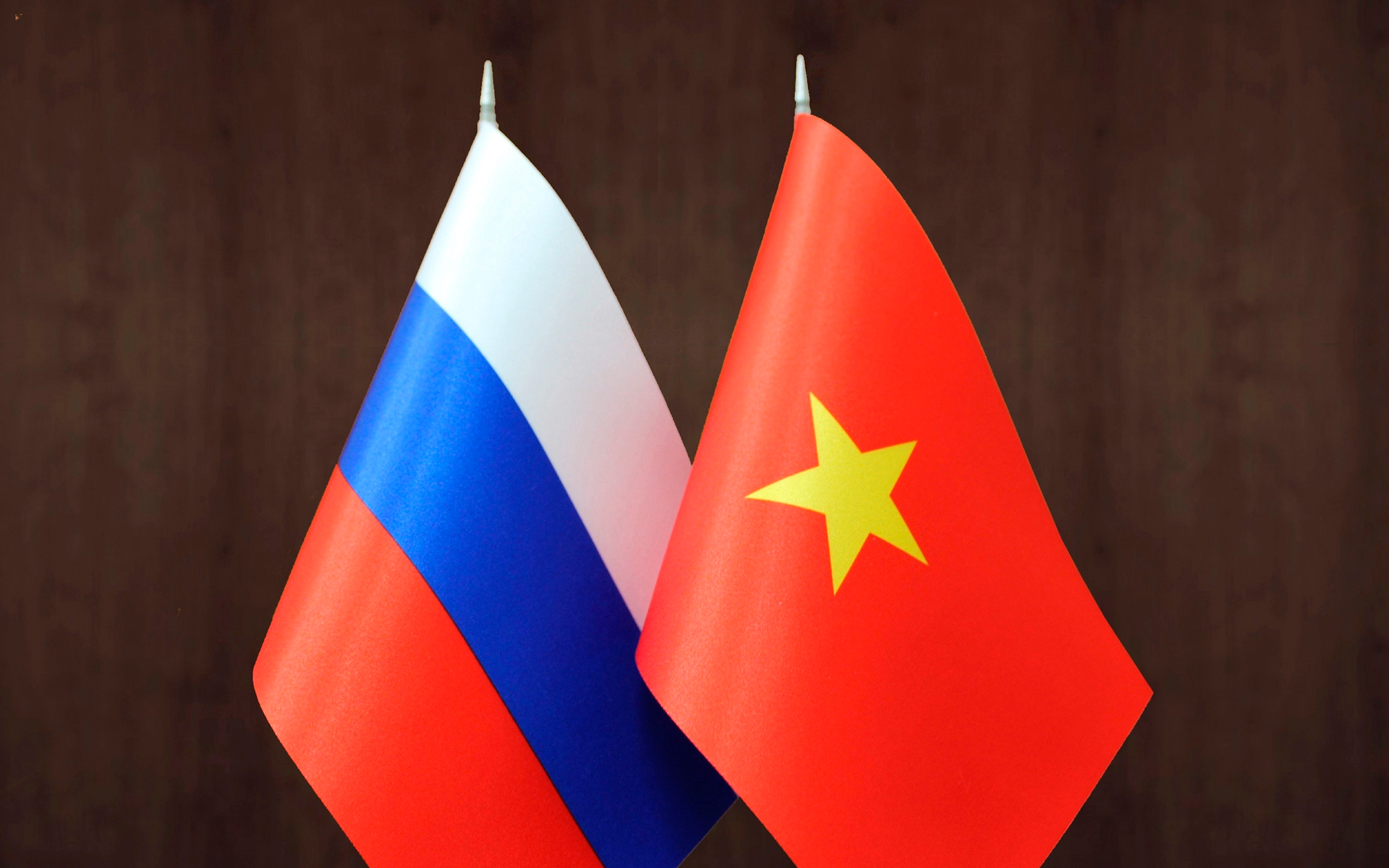 Сотрудничество России и Вьетнама в борьбе с COVID-19